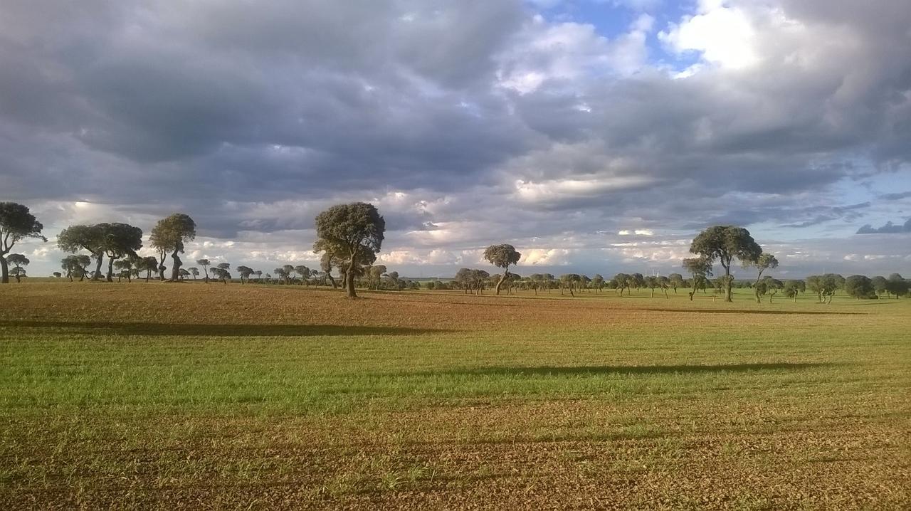 מלון Palazuelo de Vedija Fuerte De San Mauricio מראה חיצוני תמונה